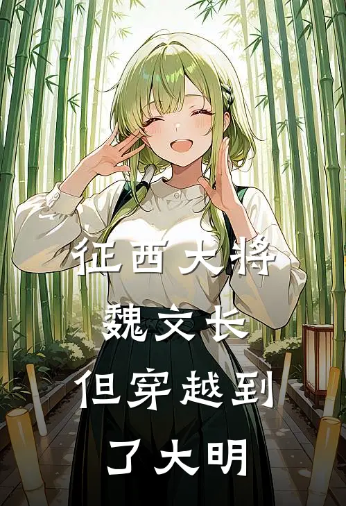 征西大将魏文长，但穿越到了大明