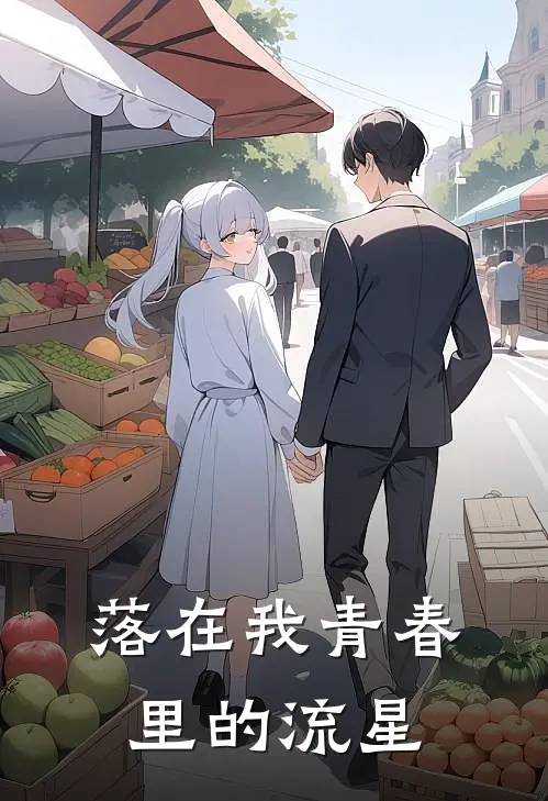 落在我青春里的流星