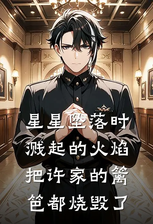 星星坠落时溅起的火焰把许家的篱笆都烧毁了